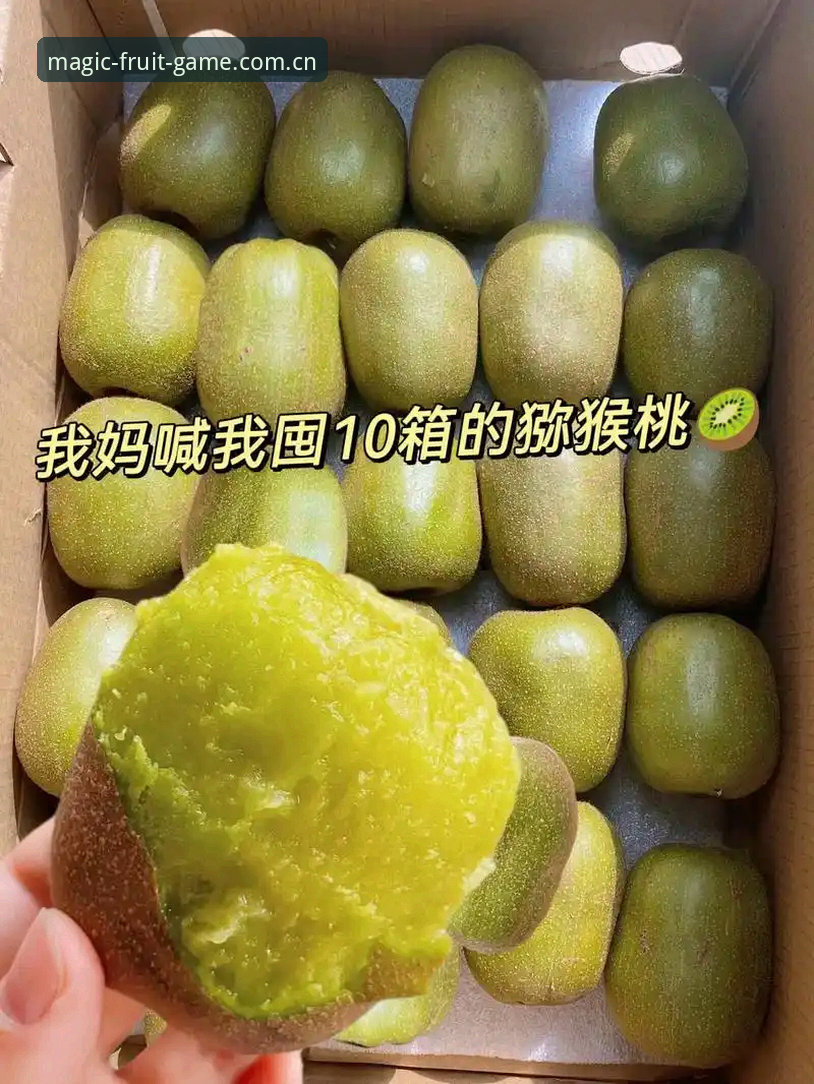 奇异果体育平台用户评价全解析：新手体验与操作指南